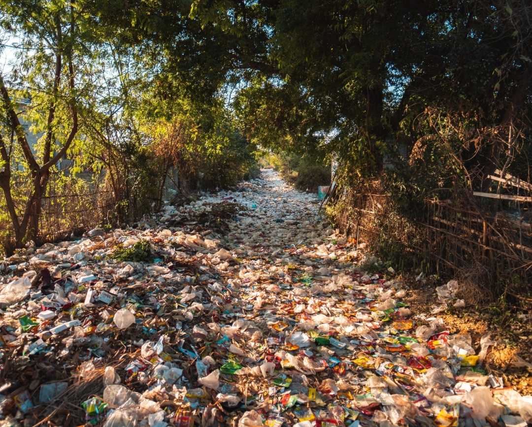 Sustainable Packaging News Tunley Environmental